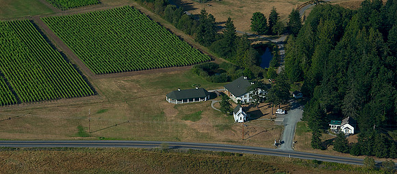 San Juan Vineyard