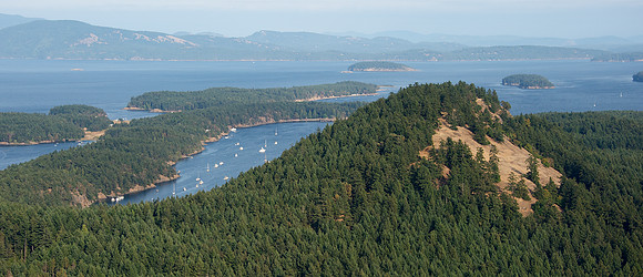TipTop Hill
