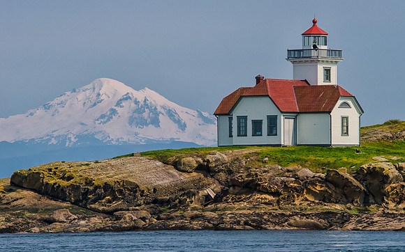 Eagle on Patos Island Lighthouse with Mount Baker