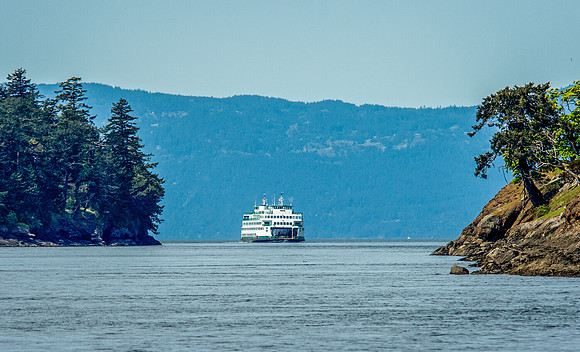 Between Sentinel And Spieden
