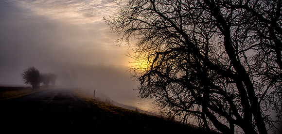 Foggy Morning At False Bay