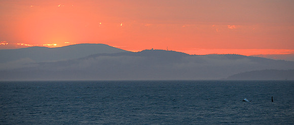 Sunset with Orca