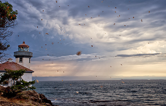 Lime Kiln Lighthouse Wind Storm