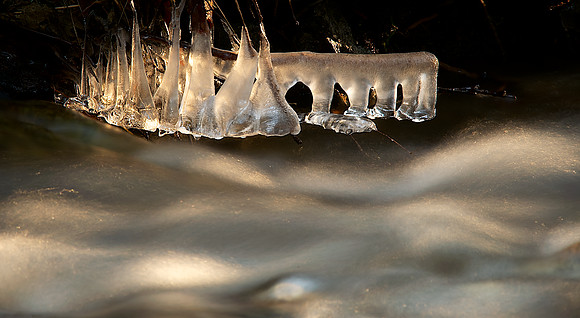 River of Ice on Orcas Island