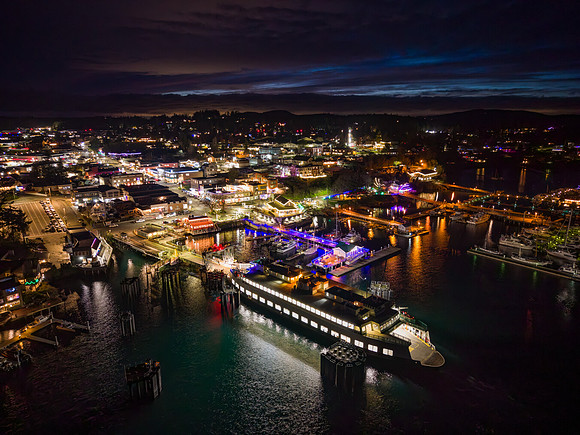 FH_HolidayLights-3