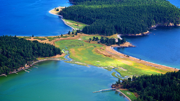 Wild Colors of Henry Island