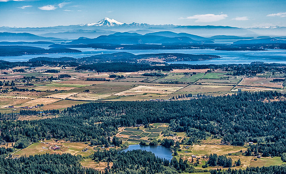 Pelindaba Lavender & Mount Baker