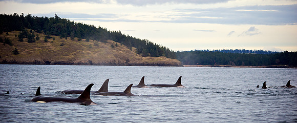 L Pod Encounter Dec 8 2012
