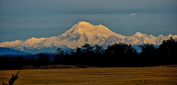 Mt. Baker Glowing in the Afternoon Sun