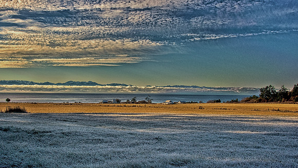 Frosty Morning at False Bay Farm, San Juan Island.