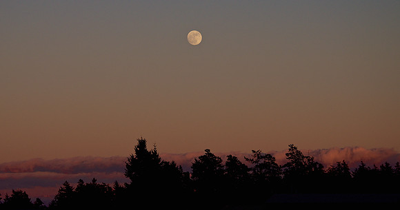 Moonrise Over Sunset