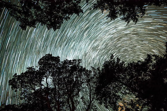 Stars Circling Over Stuart Island