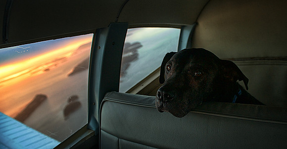 Window Seat