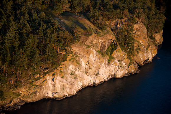 Lover's Leap Cormorants