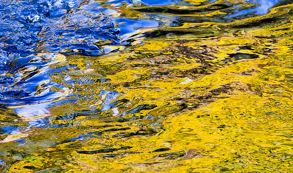 Autumn Colors on the Elwha River