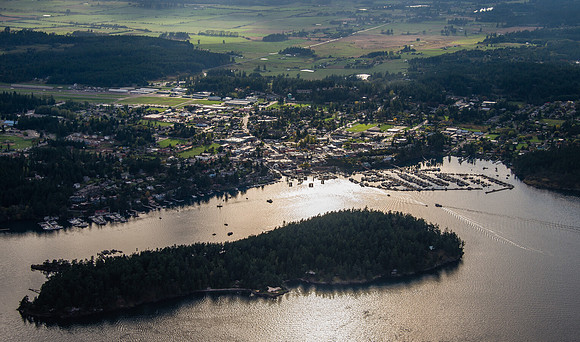 The Return of Green in Friday Harbor