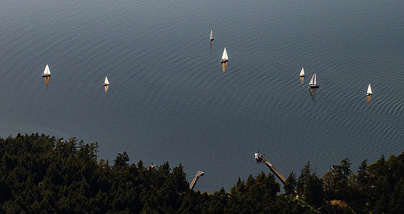Backlit Sailboats In Friday Harbor
