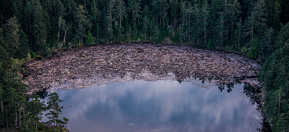 Clouds Reflecting on Jakle's Lagoon
