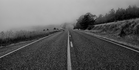 Cattle Point Road in the Fog