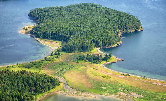 Henry Island's Estuary