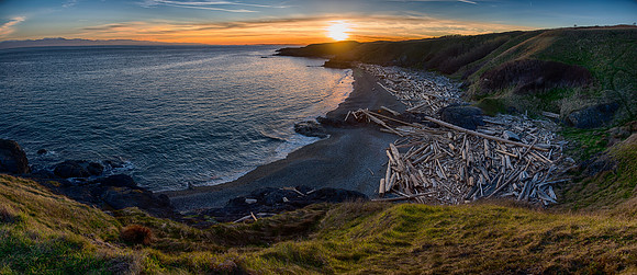 American Camp Driftwood Beach Sunset