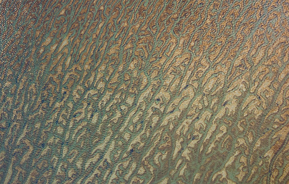 Mud Flats Submerged