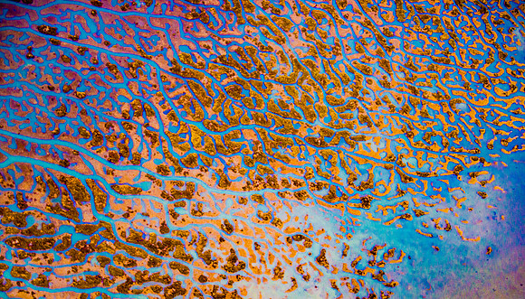 Trippy Mud Flats