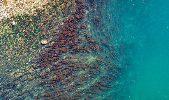 Into  the Deep on Stuart Island