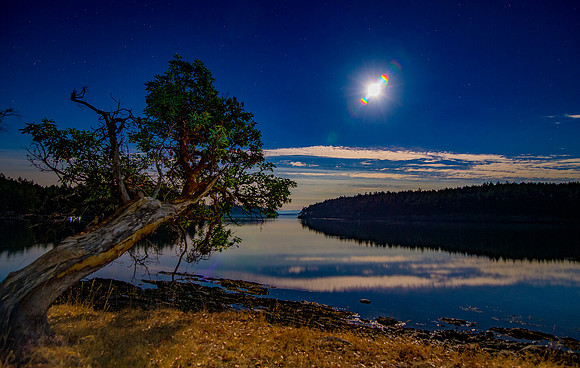 Madrona & Moon