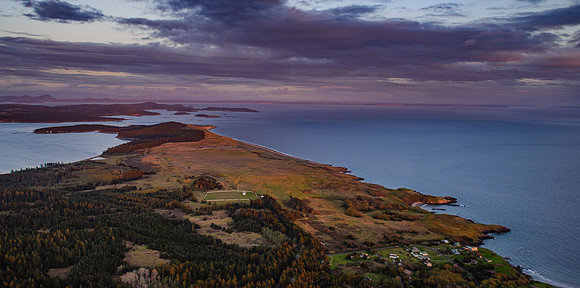 Cattle Point Lavender Sunset