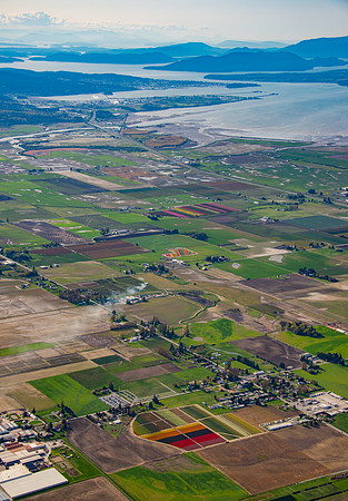 Tulip Fields and Mud Flats to Anacortes