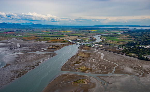 Headed to the Skagit Tulip Fields