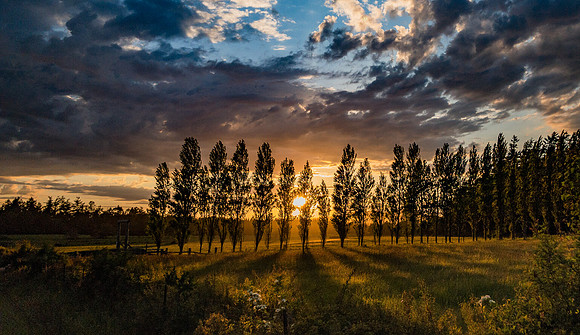 Poplar Sunset on False Bay Drive