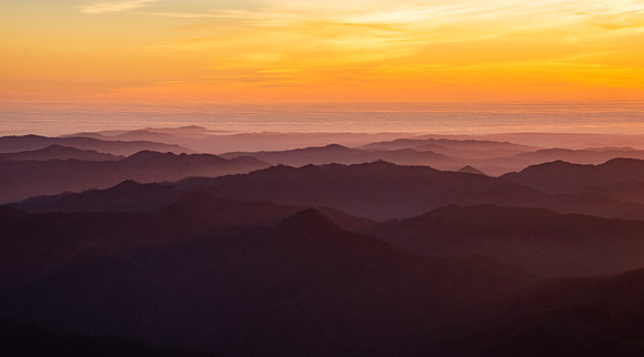 Pacific Coast Layer Cake