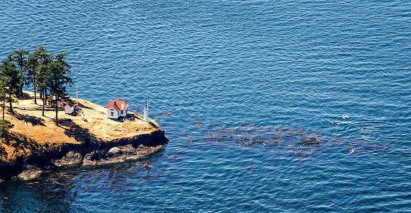Turn Point Lighthouse with Kayakers and Orca Whales - Stuart Island State Park