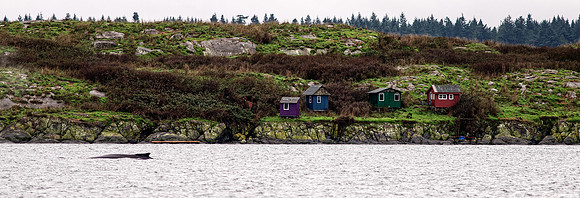 Bird Research Cabins on Mandarte Island, BC