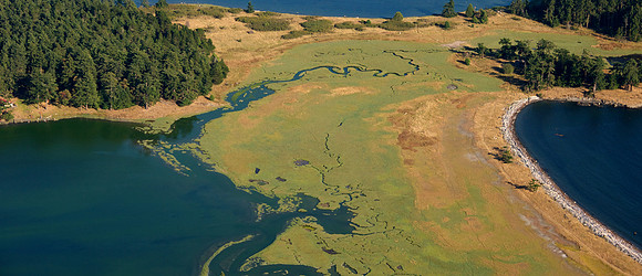 Henry Island Aerial
